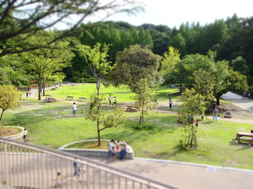 Ikuta Green Area