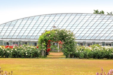 Mogamigawa Furusato Comprehensive Park