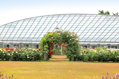 Mogamigawa Furusato Comprehensive Park