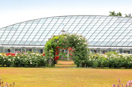 Mogamigawa Furusato Comprehensive Park