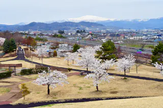 Mogamigawa Furusato Comprehensive Park