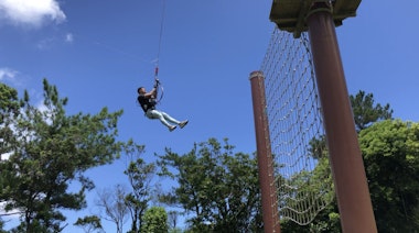 Forest Adventure in Onna