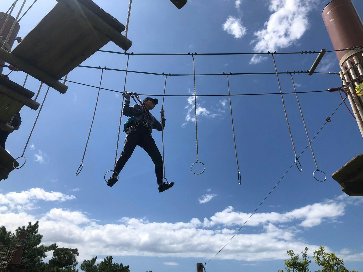 Forest Adventure in Onna