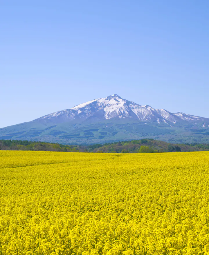 Mt. Iwaki Mt. Iwaki