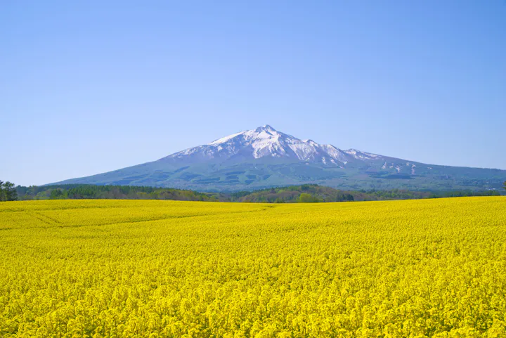 Mt. Iwaki