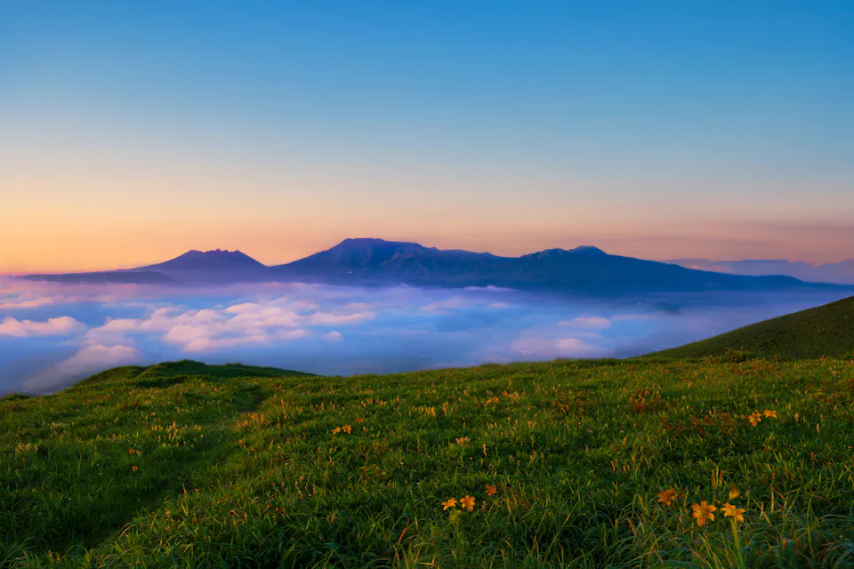 Daikanbo, a viewpoint on the northern rim of the Aso caldera. A sea of clouds filling the Aso caldera below grassy hills at dawn, seen from the Daikanbo viewpoint