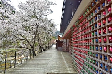 Roadside Station Awakurando