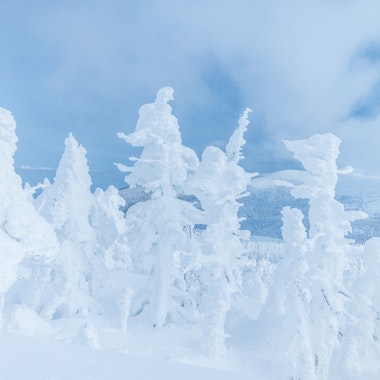 Zao Town, Miyagi Zao Town, Miyagi