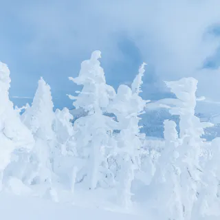 Zao Town, Miyagi Zao Town, Miyagi