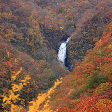 Zao Town, Miyagi Zao Town, Miyagi