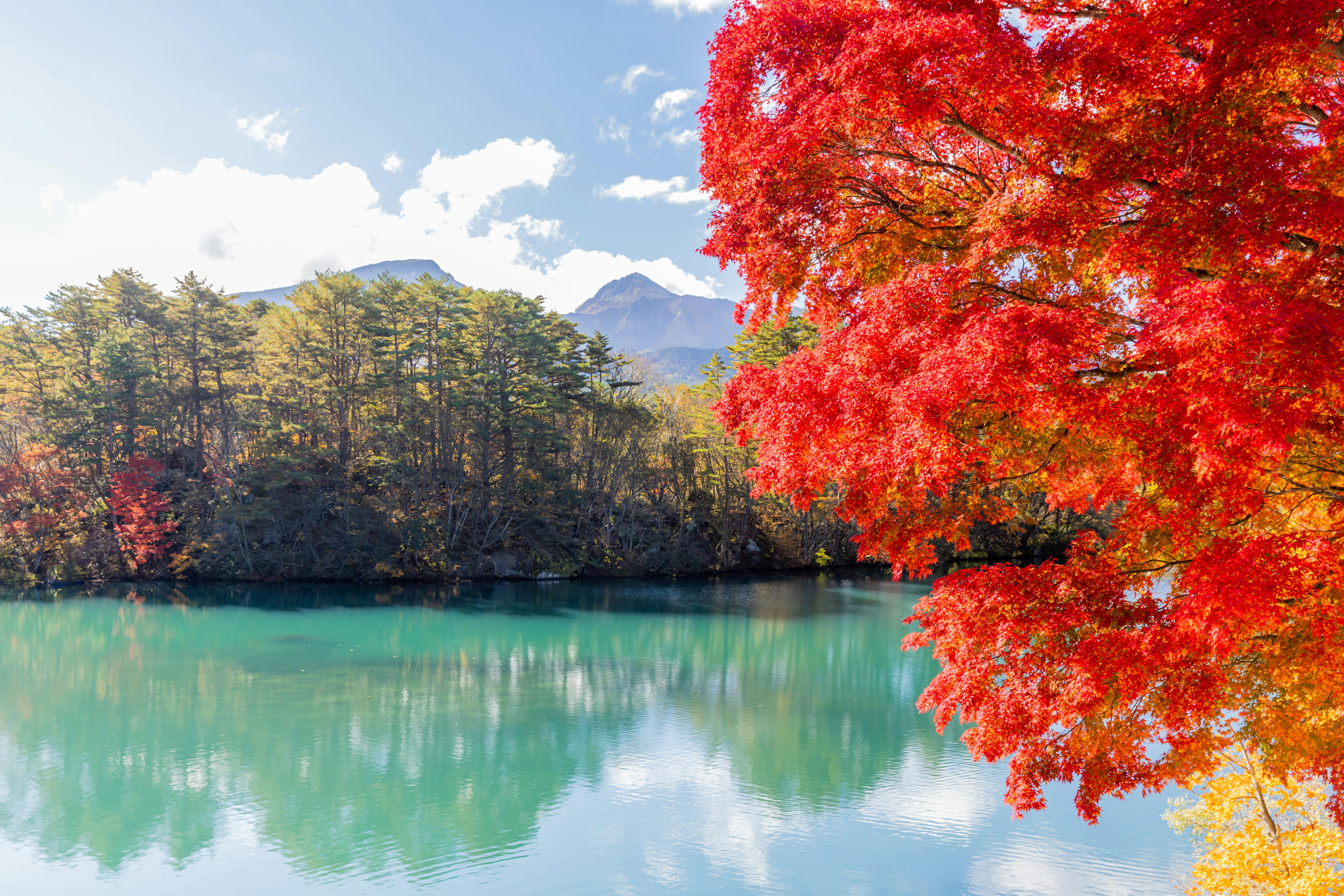 Goshikinuma Lakes