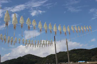 Yobuko Morning Market