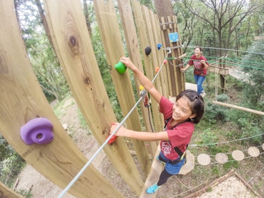 Forest Adventure Yokohama
