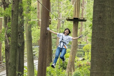 Forest Adventure Yokohama