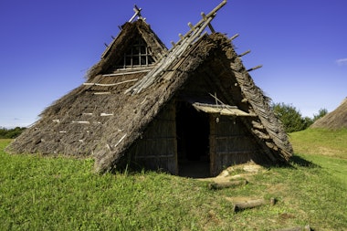 Mukibanda Yayoi Remains