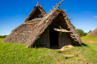 Mukibanda Yayoi Remains