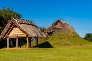 Mukibanda Yayoi Remains