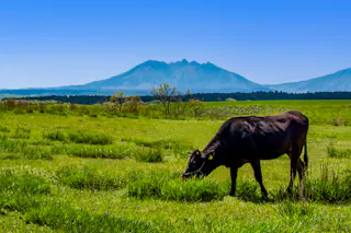 Senomoto Kogen Plateau