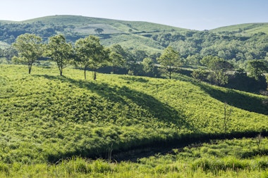 Senomoto Kogen Plateau