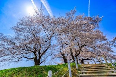 Sakitama Kofun Group