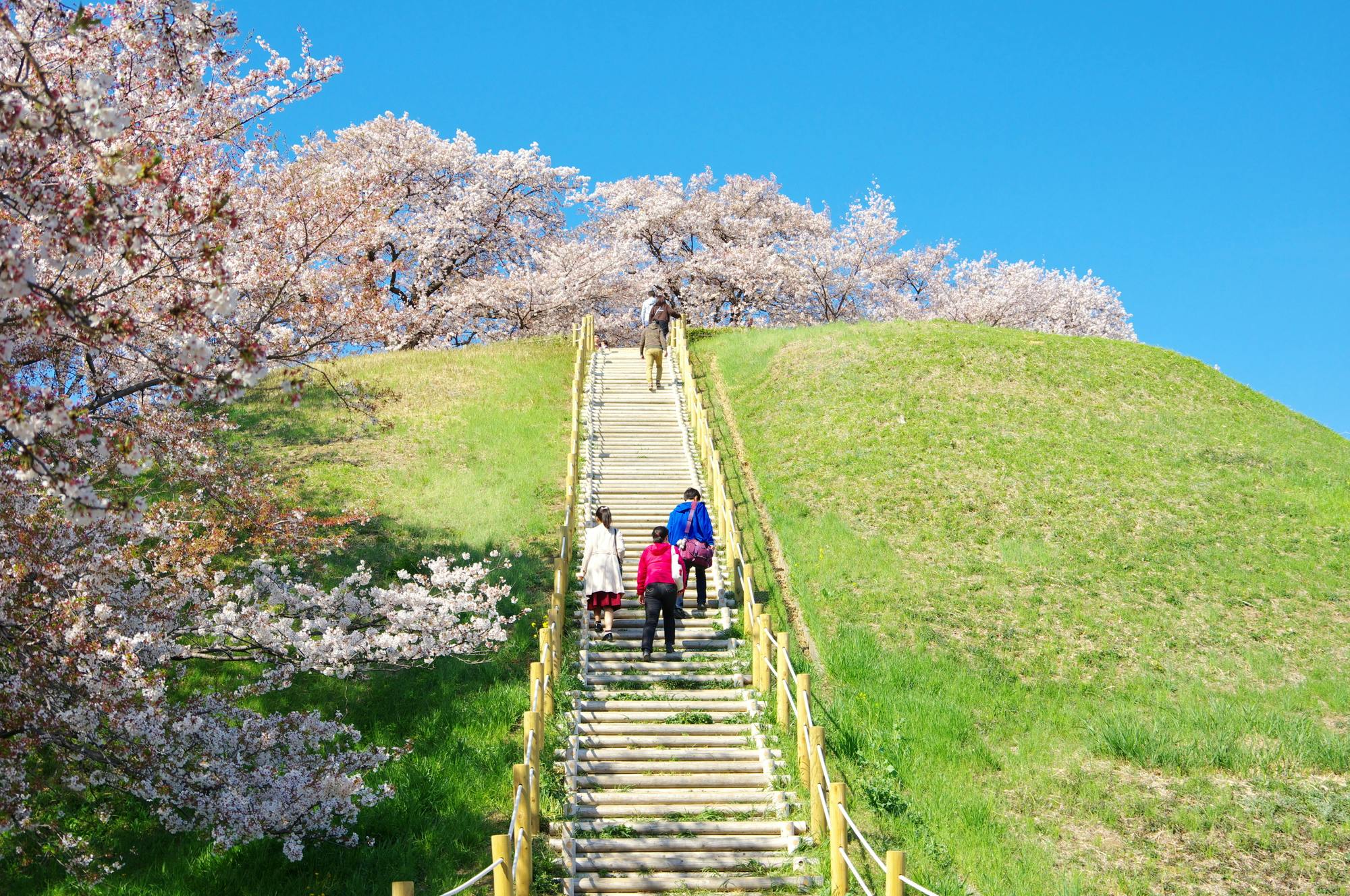 Sakitama Kofun Group