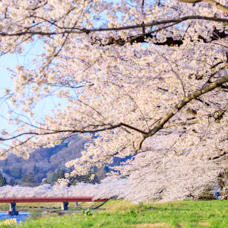 Kakunodatemachi Kakunodatemachi