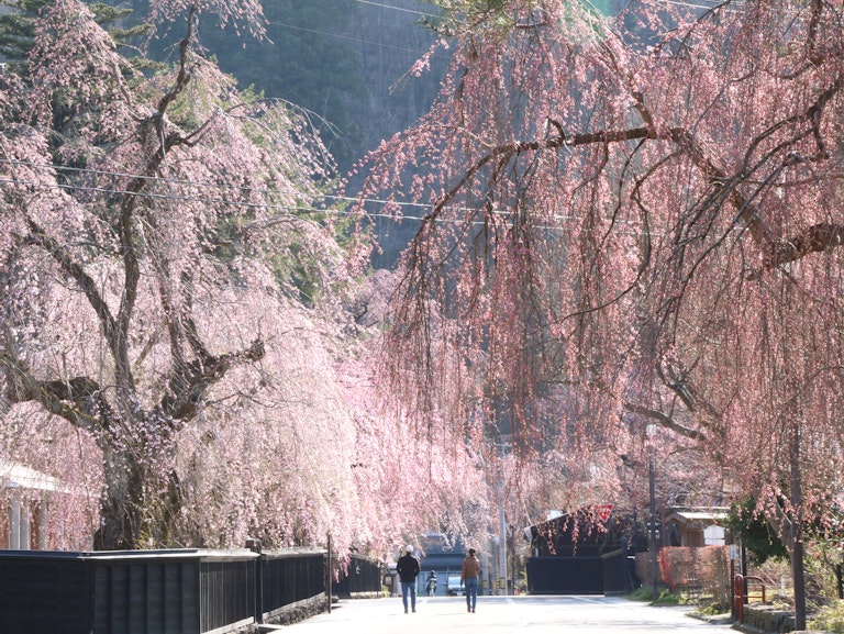 Kakunodatemachi Kakunodatemachi