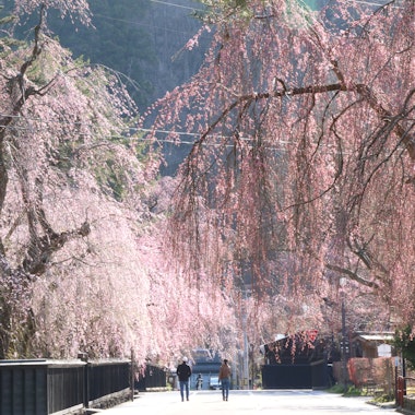 Kakunodatemachi Kakunodatemachi