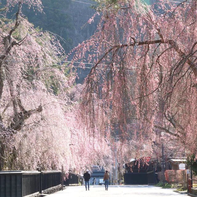 Kakunodatemachi Kakunodatemachi