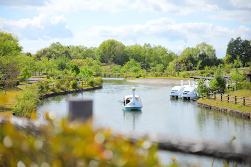 Gifu Seiryu Satoyama Park