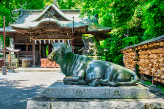Yabo Tenmangu Shrine, Kunitachi