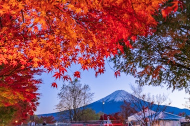 Kawaguchiko Maple Corridor