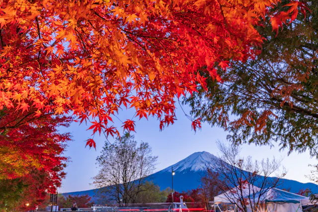 Kawaguchiko Maple Corridor