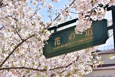 Takarazuka Hana no Michi