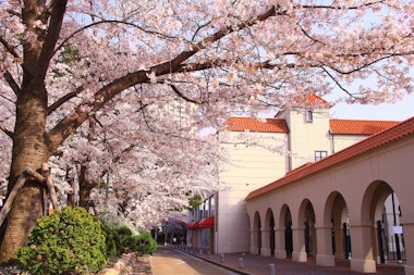 Takarazuka Hana no Michi