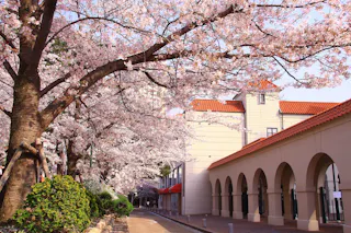 Takarazuka Hana no Michi