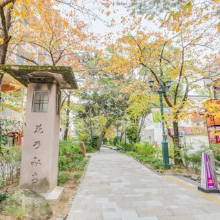 Takarazuka Hana no Michi Takarazuka Hana no Michi