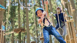 Forest Adventure Tsukuba