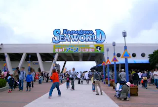 Kamogawa Sea World