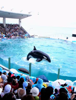 Kamogawa Sea World