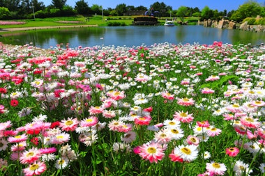 Akashi Kaikyo National Government Park
