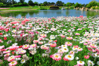 Akashi Kaikyo National Government Park