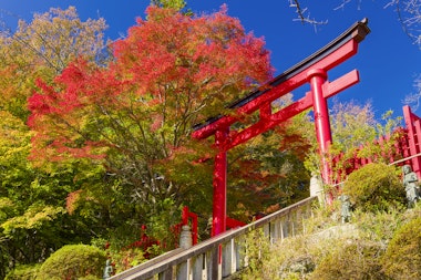 Takaosan Yakuoin Yukiji Temple