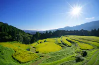 Uheyama Rice Terraces