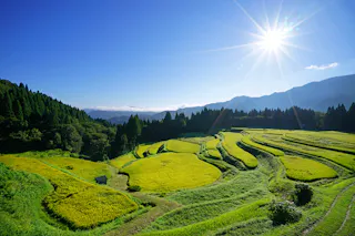 Uheyama Rice Terraces
