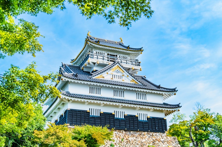 Gifu Castle