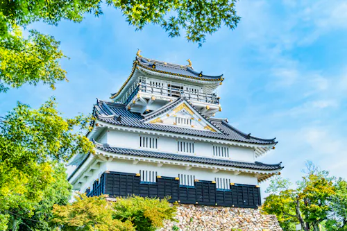 Gifu Castle