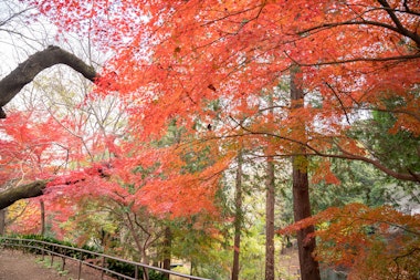 Toyama Park (Hakoneyama District)