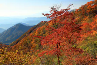Mount Nabewari (Nabewariyama)