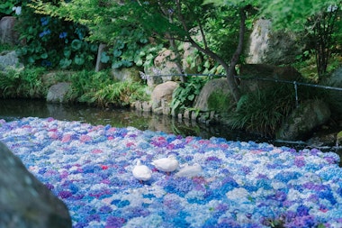 Amabiki Kannon Temple
